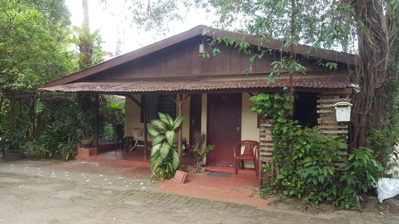 Gecko Guesthouse Пантай-Сенанг Экстерьер фото